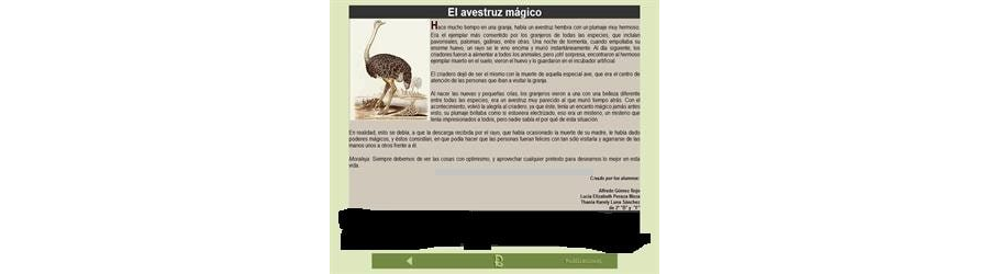 Fichas de avestruces para estudiar 3