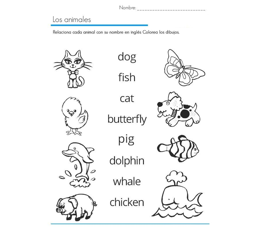 Ejercicios de vocabulario y actividades divertidas en inglés 3