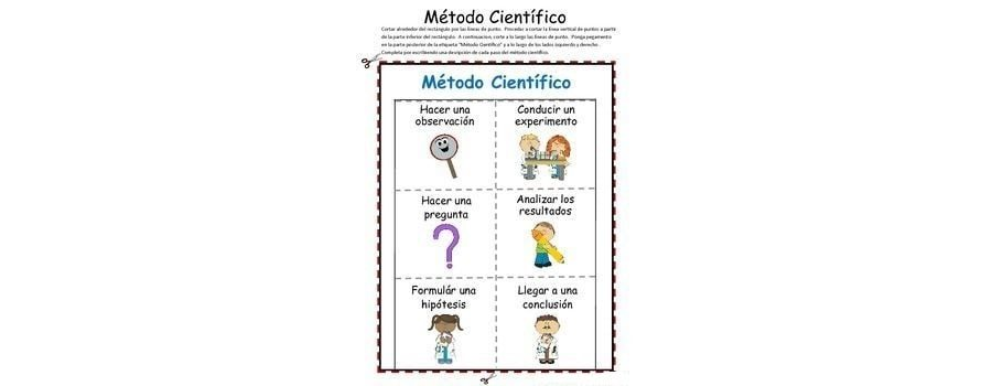 Ejercicios de comprensión y aprendizaje activo en fichas de naturales 2 primaria 1