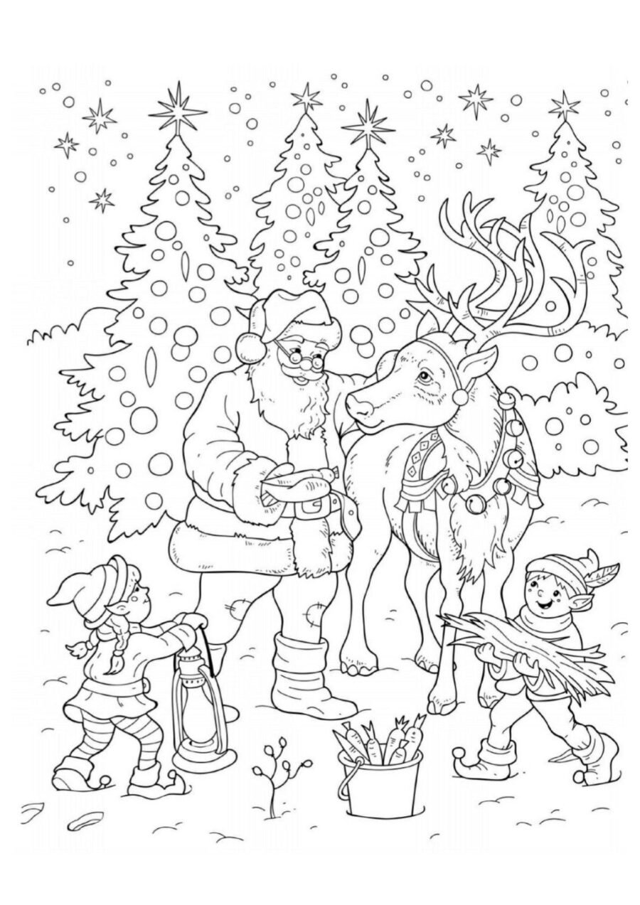 Ficha de invierno recursos 1