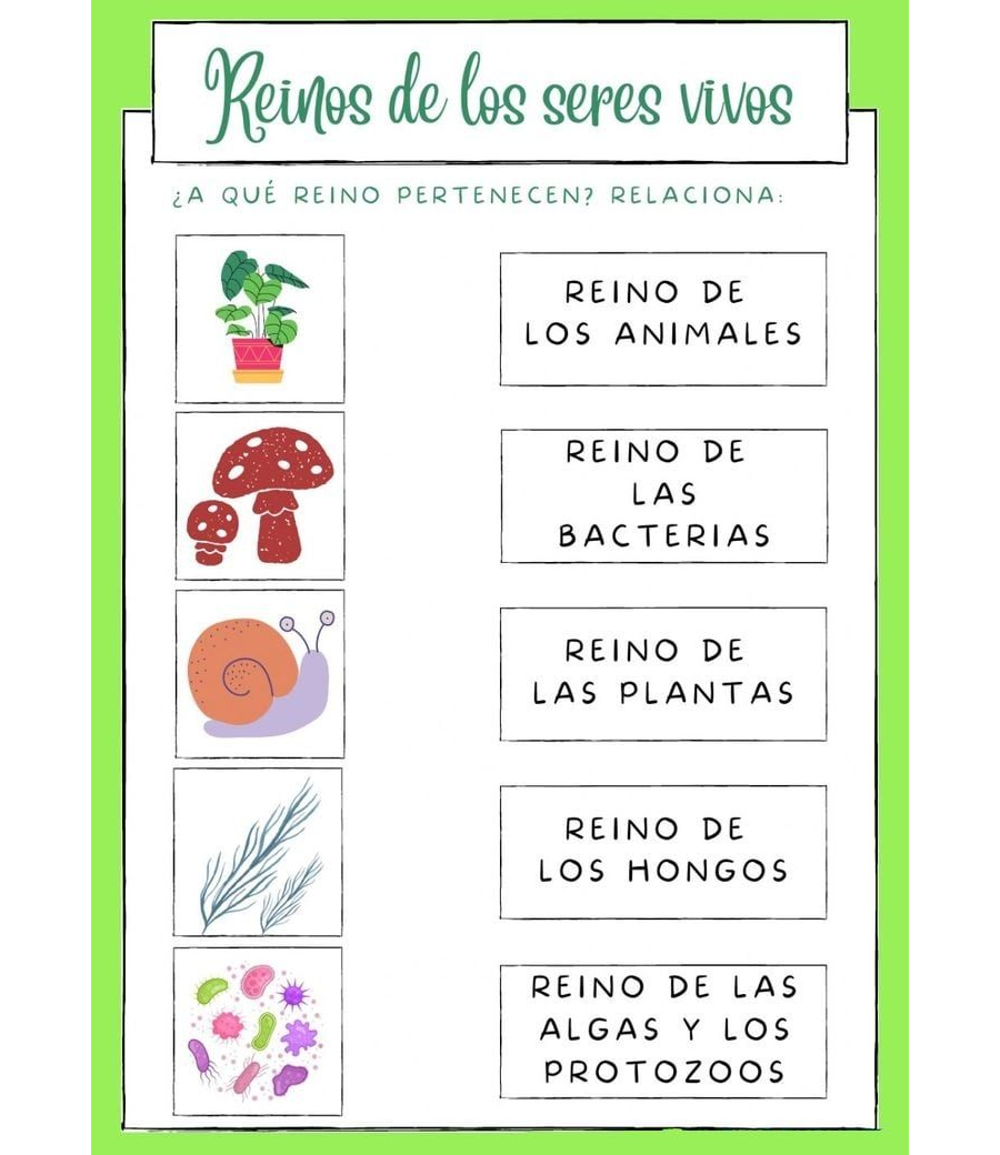 Juegos y actividades interactivas para aprender sobre la naturaleza 2