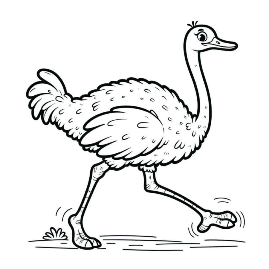 Fichas de avestruces para colorear 1