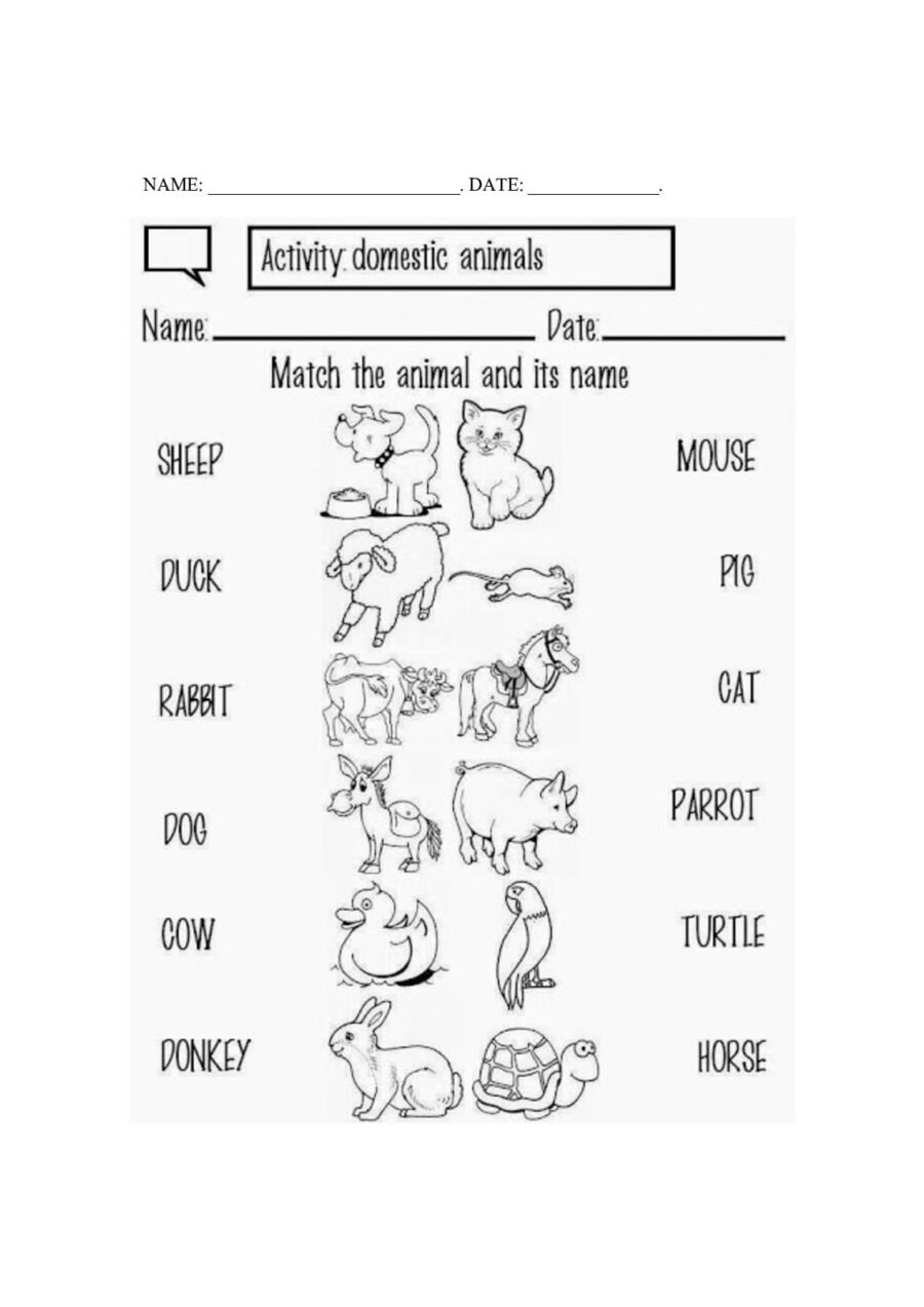 Fichas de repaso y refuerzo de temas específicos 2