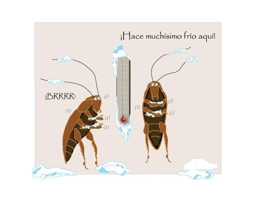 Fichas de cucarachas para escribir 2