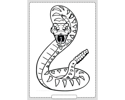 Fichas de serpientes para colorear 2