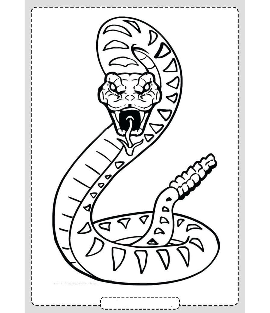 Fichas de serpientes para colorear 2