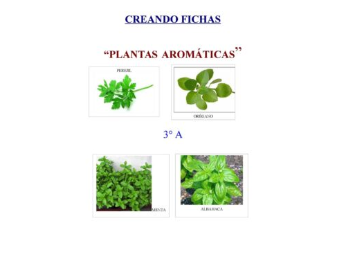 fichas de plantas