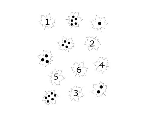 Ficha-de-otono-actividades-numericas-3
