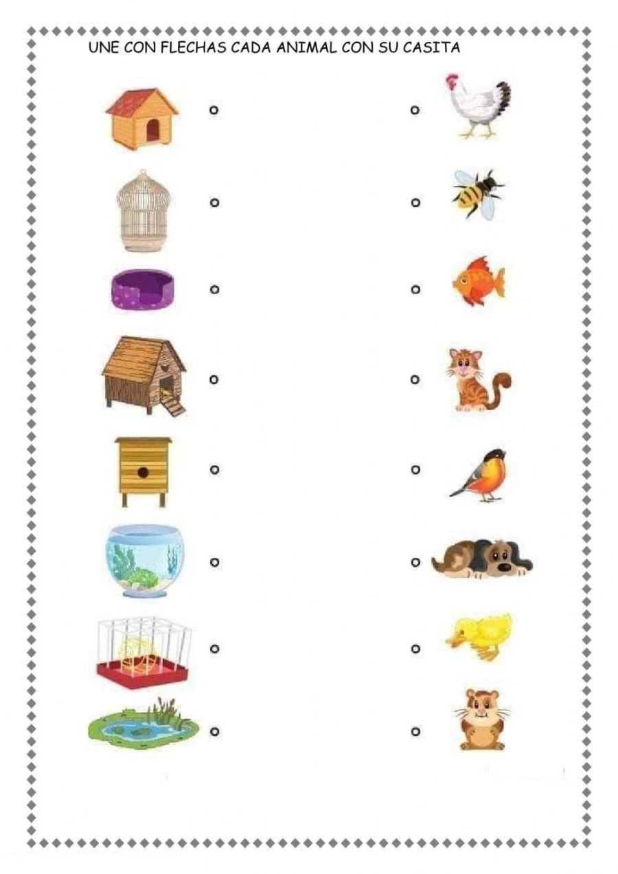 Tipos de fichas interactivas disponibles 2