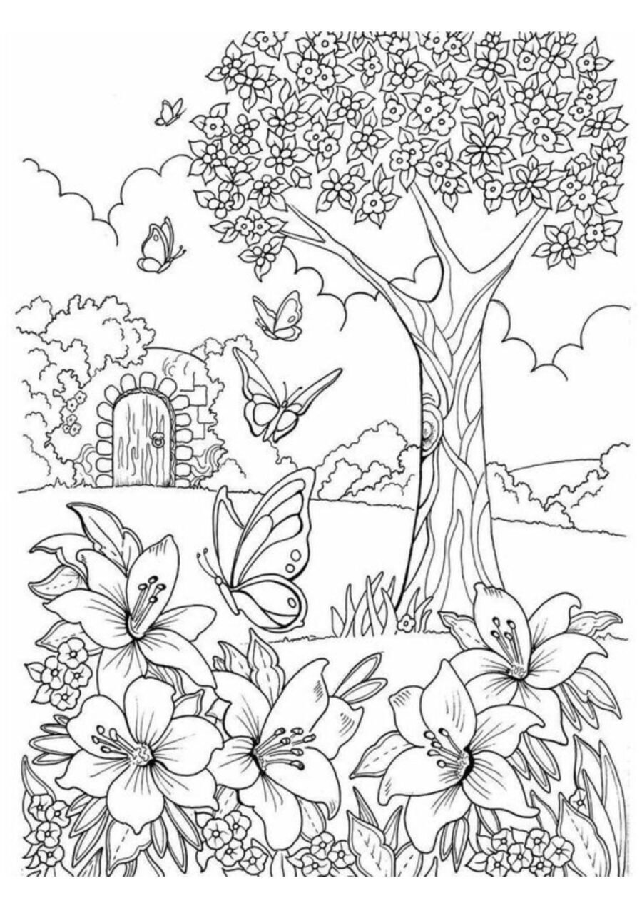 Ficha de primavera entornos 1