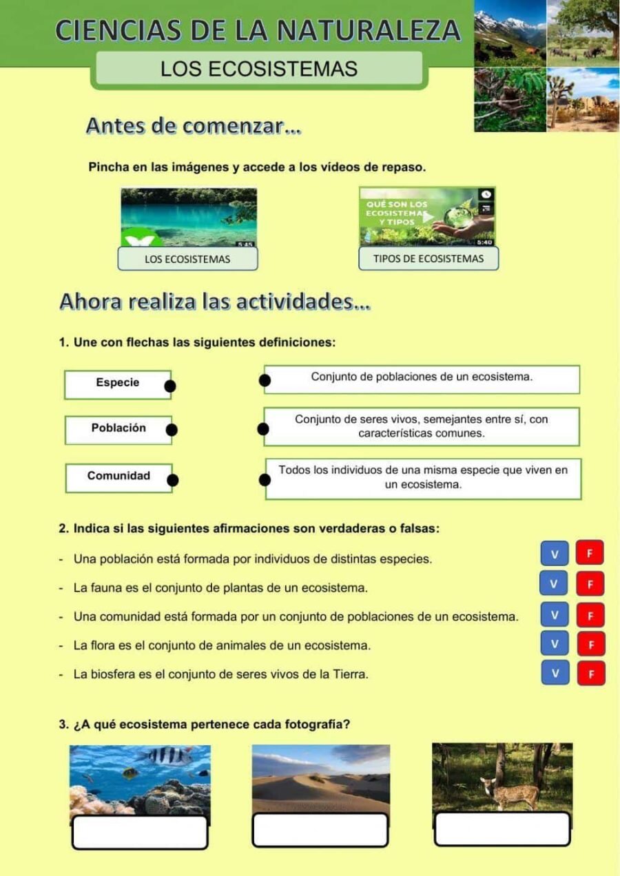 Juegos y actividades interactivas para aprender sobre la naturaleza 3