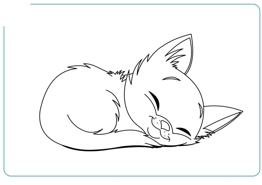 Fichas de gatos para colorear 3