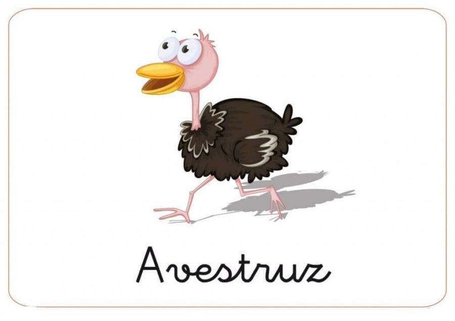 Fichas de avestruces para escribir 3