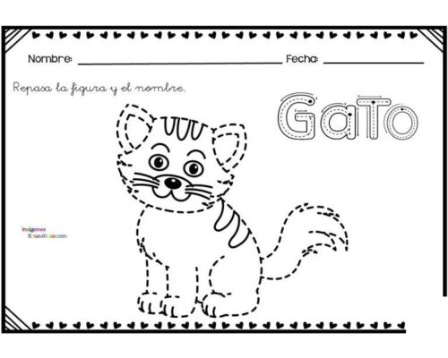 Fichas de gatos para estudiar 1