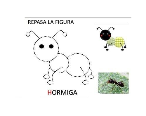 Fichas de hormigas para imprimir 1