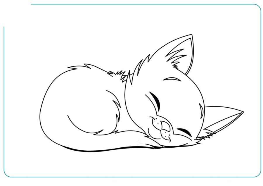 Fichas de gatos para colorear 3