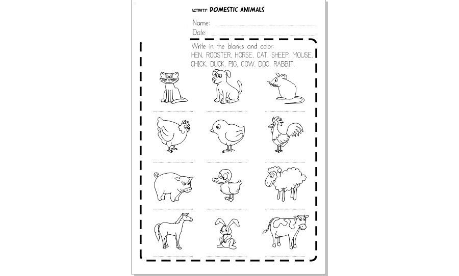 Animales en inglés 2