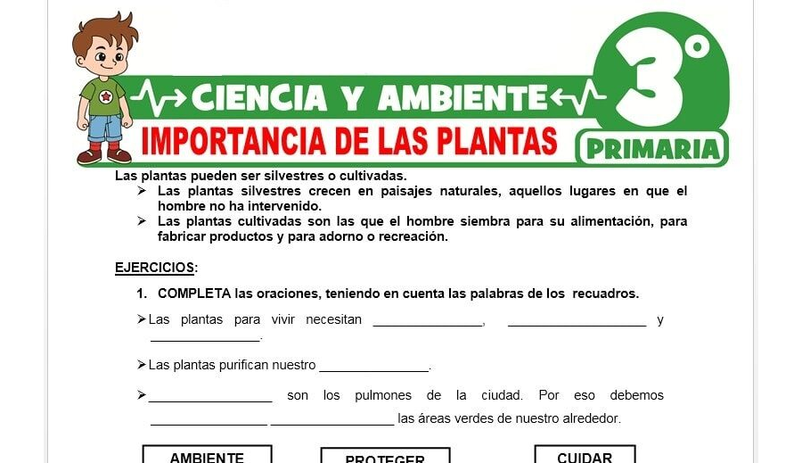 Ventajas de utilizar fichas para el cuidado de plantas 1