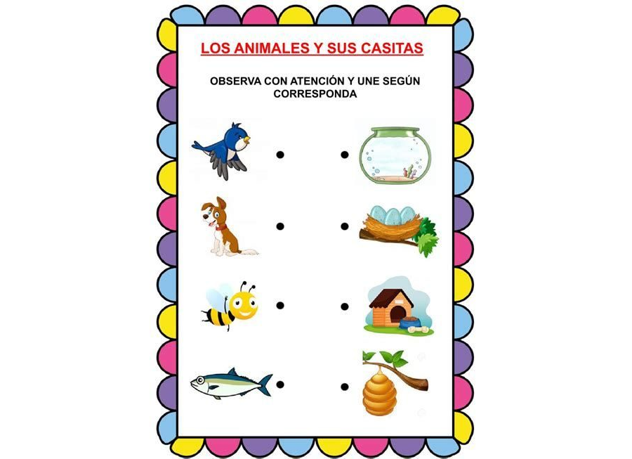 Tipos de fichas interactivas disponibles 1