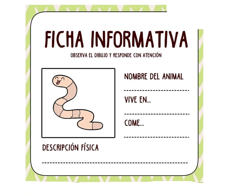 Fichas de serpientes para estudiar 1