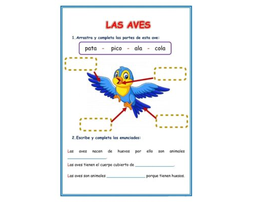 Fichas de pájaros para imprimir 2