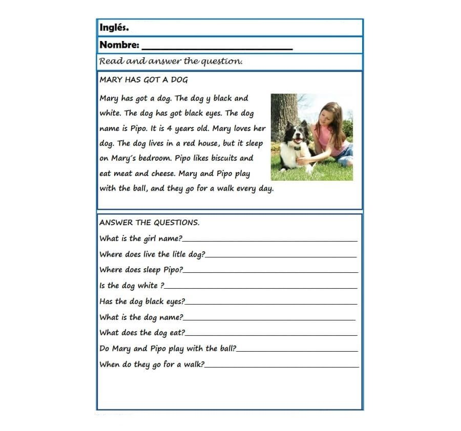 Promoción de la interactividad y participación 2