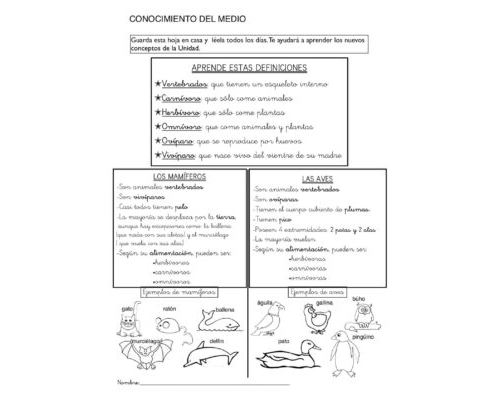 Conocimiento sobre animales y plantas en fichas de naturales 1