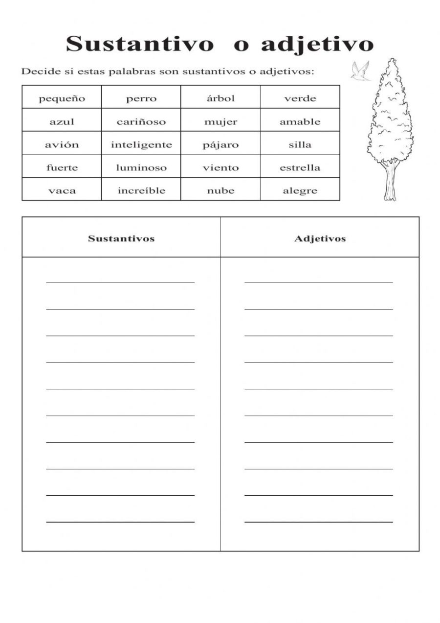 Sustantivos y adjetivos 1