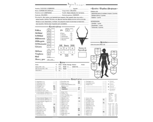 Personaje en el juego de rol 