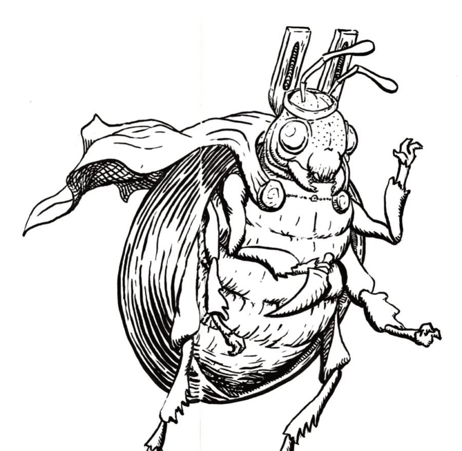 Fichas de escarabajos para escribir 2