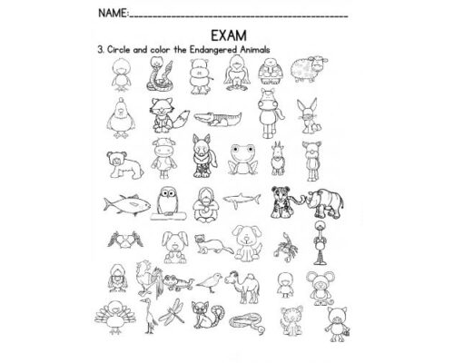 Fichas de inglés 3 primaria