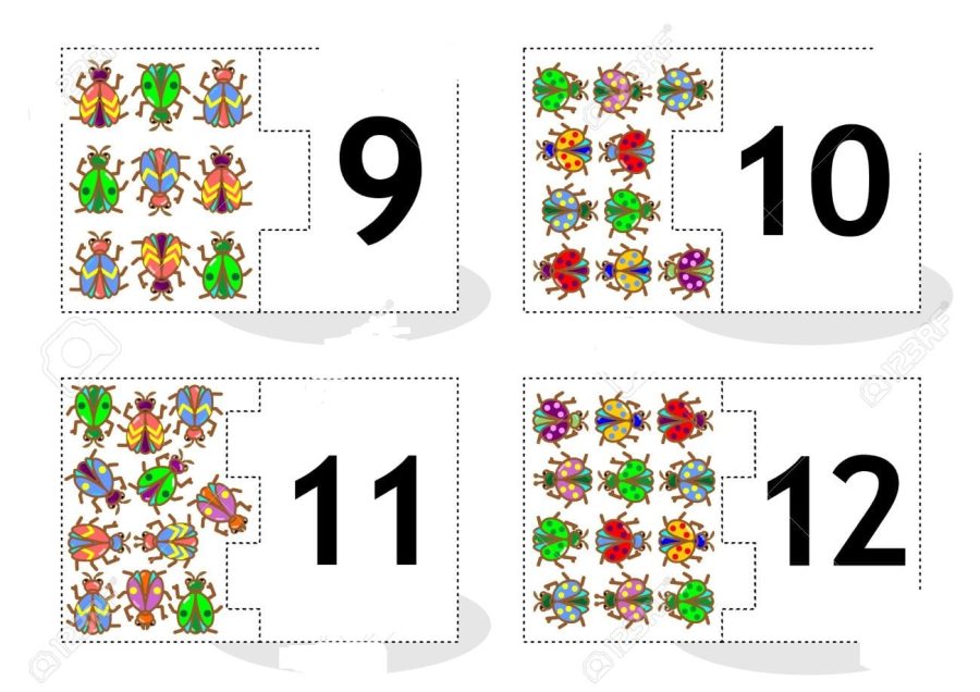 Fichas de escarabajos para imprimir 1