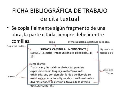 Usos y aplicaciones de las fichas bibliográficas de colores 1
