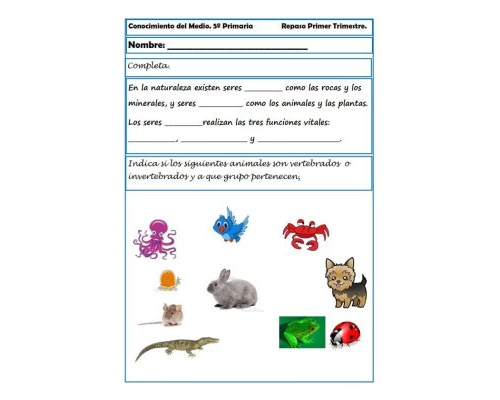 Fichas de naturales 5 primaria