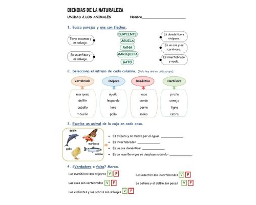 Conocimiento sobre animales y plantas en fichas de naturales 3