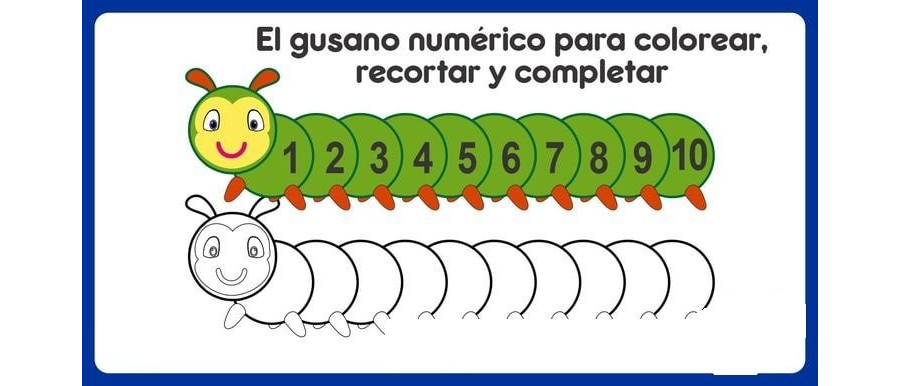 Fichas de gusanos para estudiar 2