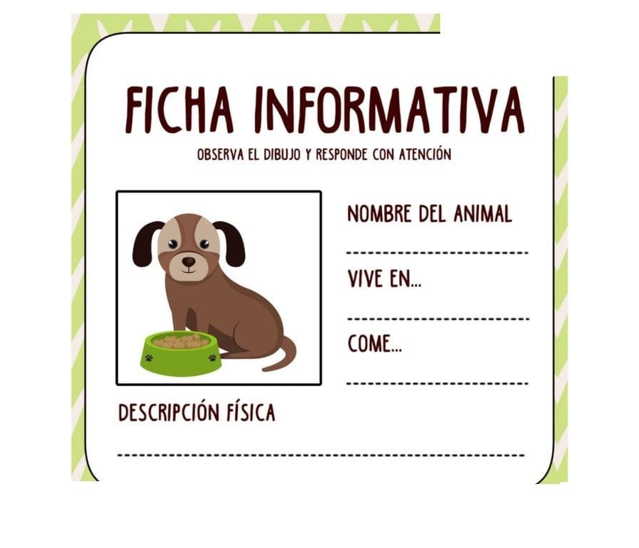 Fichas de perros para estudiar 3