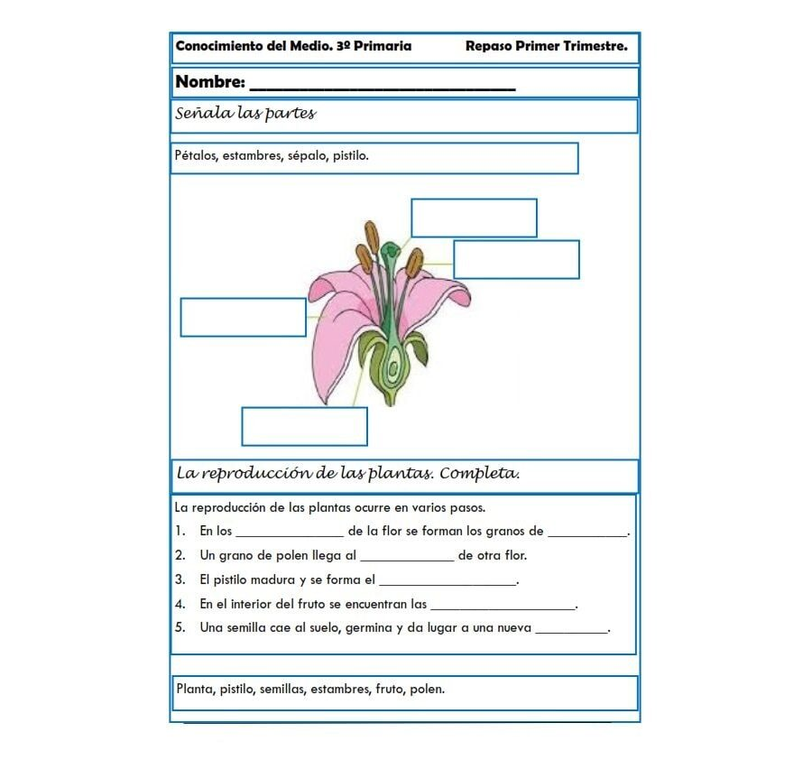 La importancia del medio ambiente y la naturaleza en las fichas de ciencias naturales 2