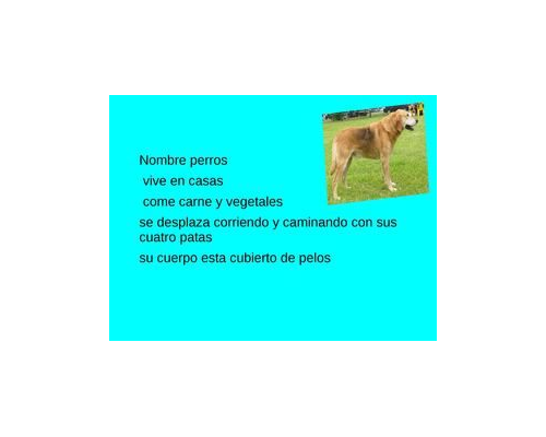 Fichas de perros para estudiar 1