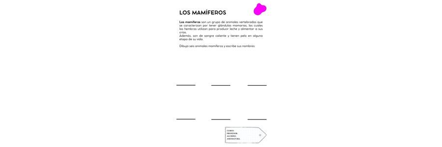 Fichas de color magenta para escribir 1