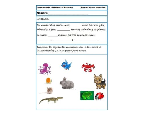 Fichas de naturales 5 primaria