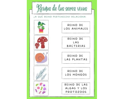 Juegos y actividades interactivas para aprender sobre la naturaleza 2