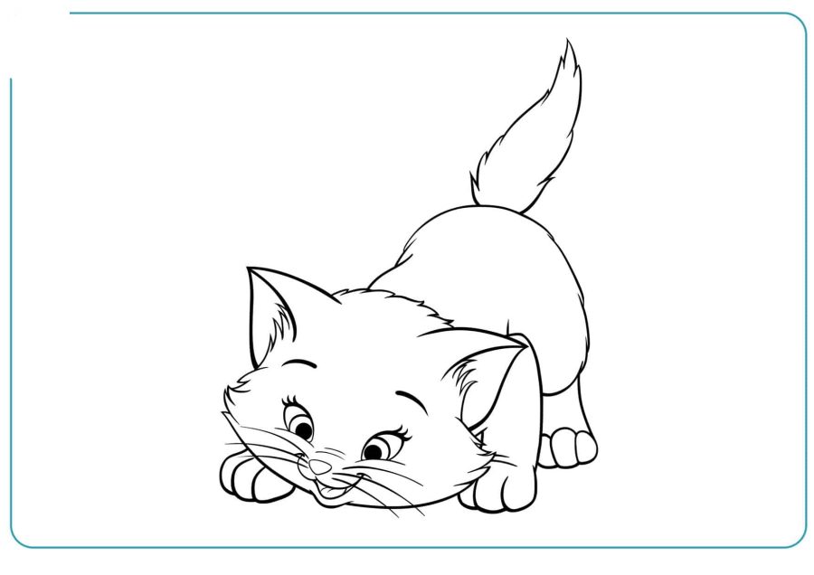 Fichas de gatos para imprimir 1