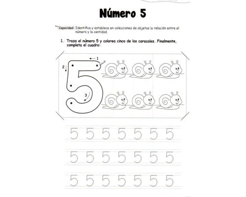 fichas de número 5