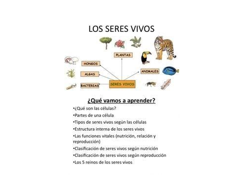 Recursos y juegos relacionados con la materia de Ciencias Naturales 1