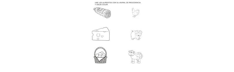 Tipos de fichas interactivas disponibles 3