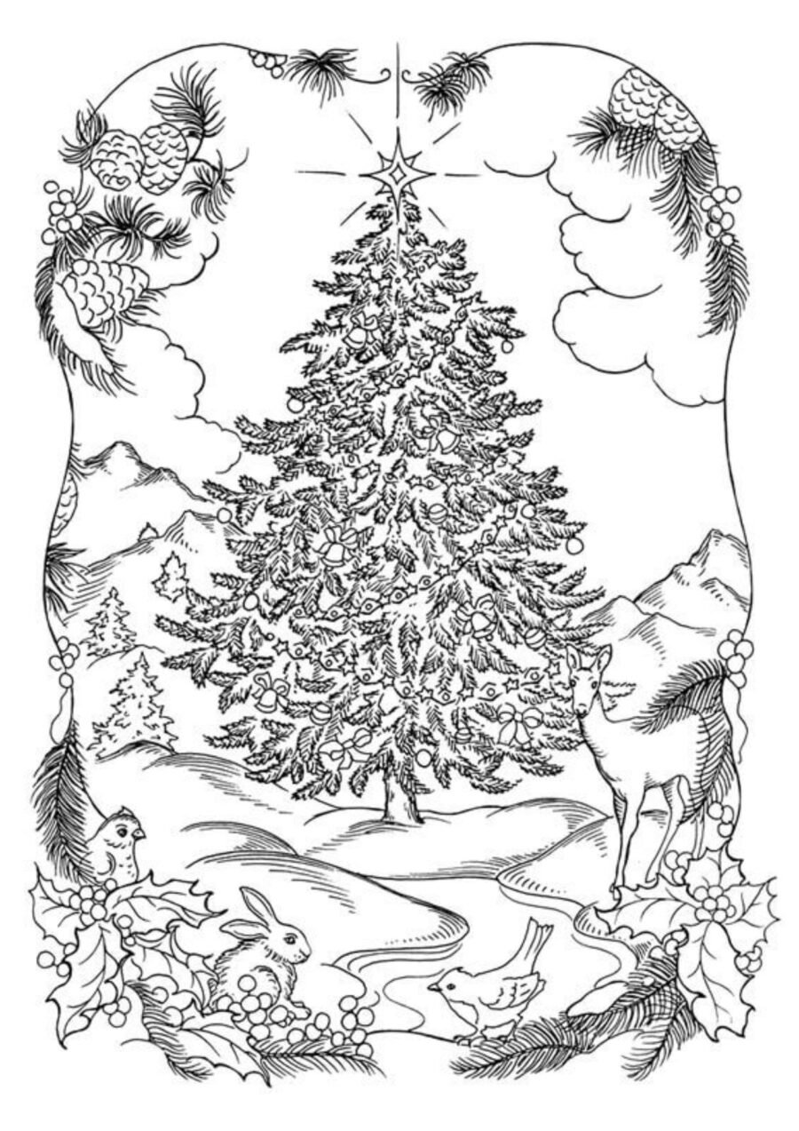 Ficha de invierno recursos 2