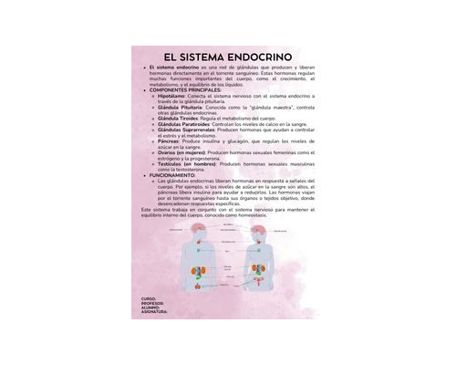 Fichas de color magenta para estudiar 2