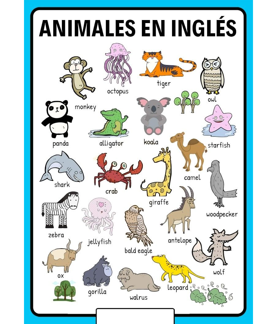 Animales en inglés 1