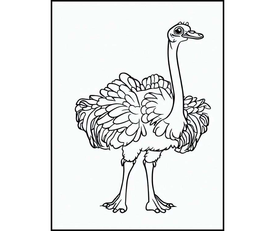 Fichas de avestruces para imprimir 1